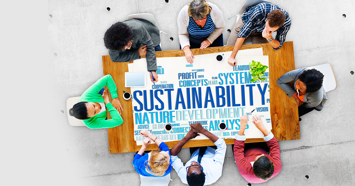 What Is Sustainability?
